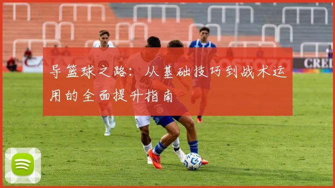 导篮球之路：从基础技巧到战术运用的全面提升指南